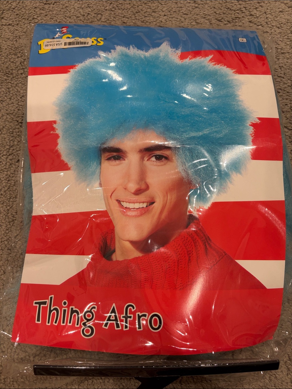 Thing 1 Wig